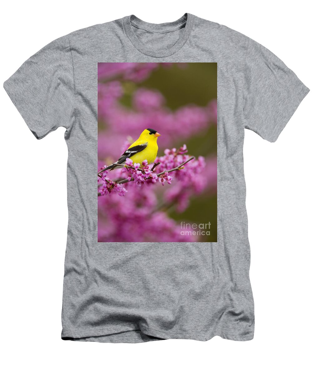 Happy T-Shirt featuring the photograph American Goldfinch In Redbud by Marie Read