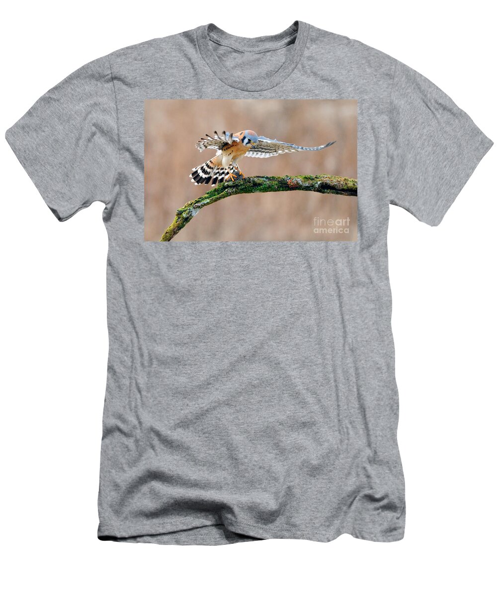 American Kestrel T-Shirt featuring the photograph American Kestrel by Scott Linstead