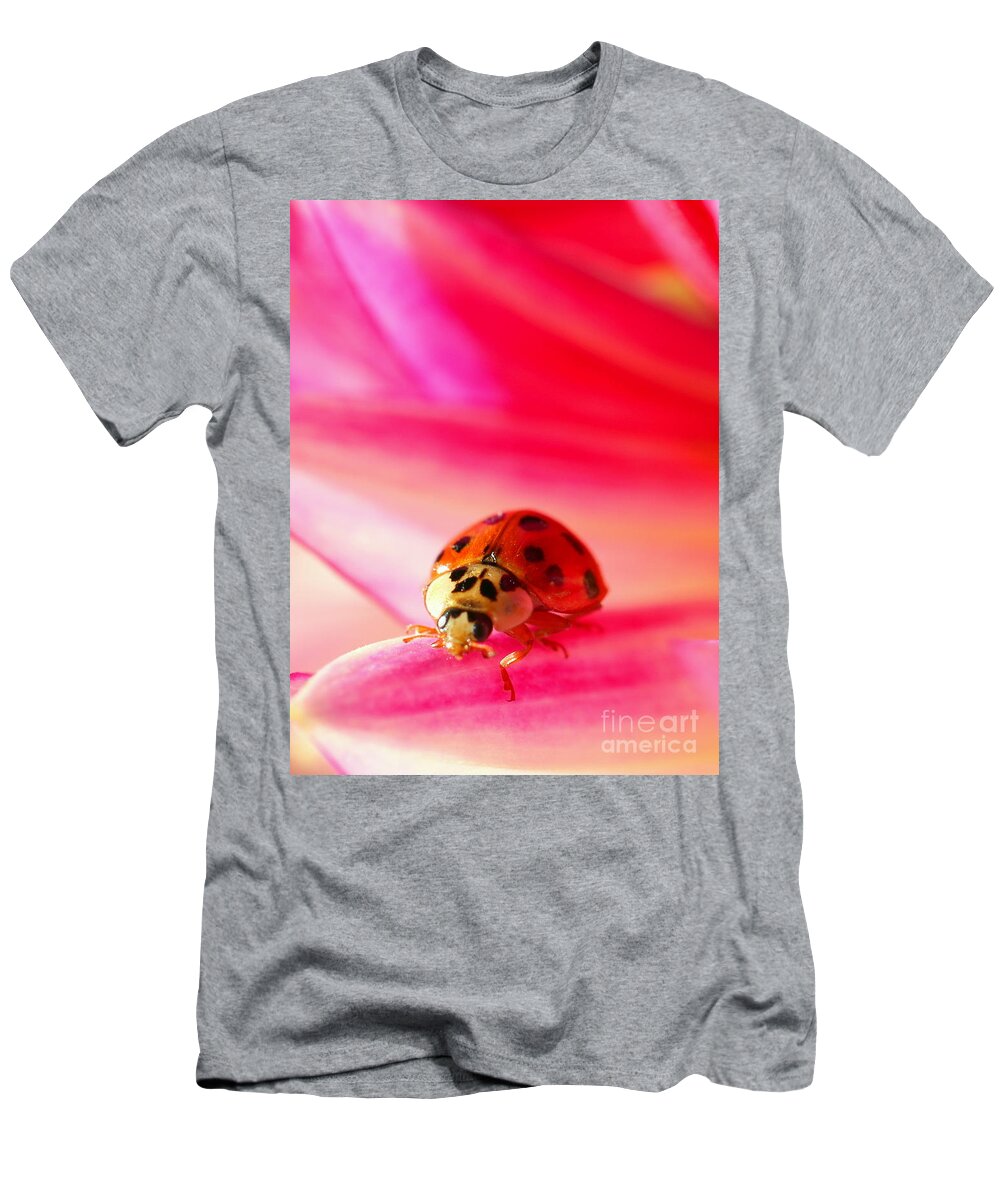 Red T-Shirt featuring the photograph Asian Lady Beetle 2 by Amanda Mohler