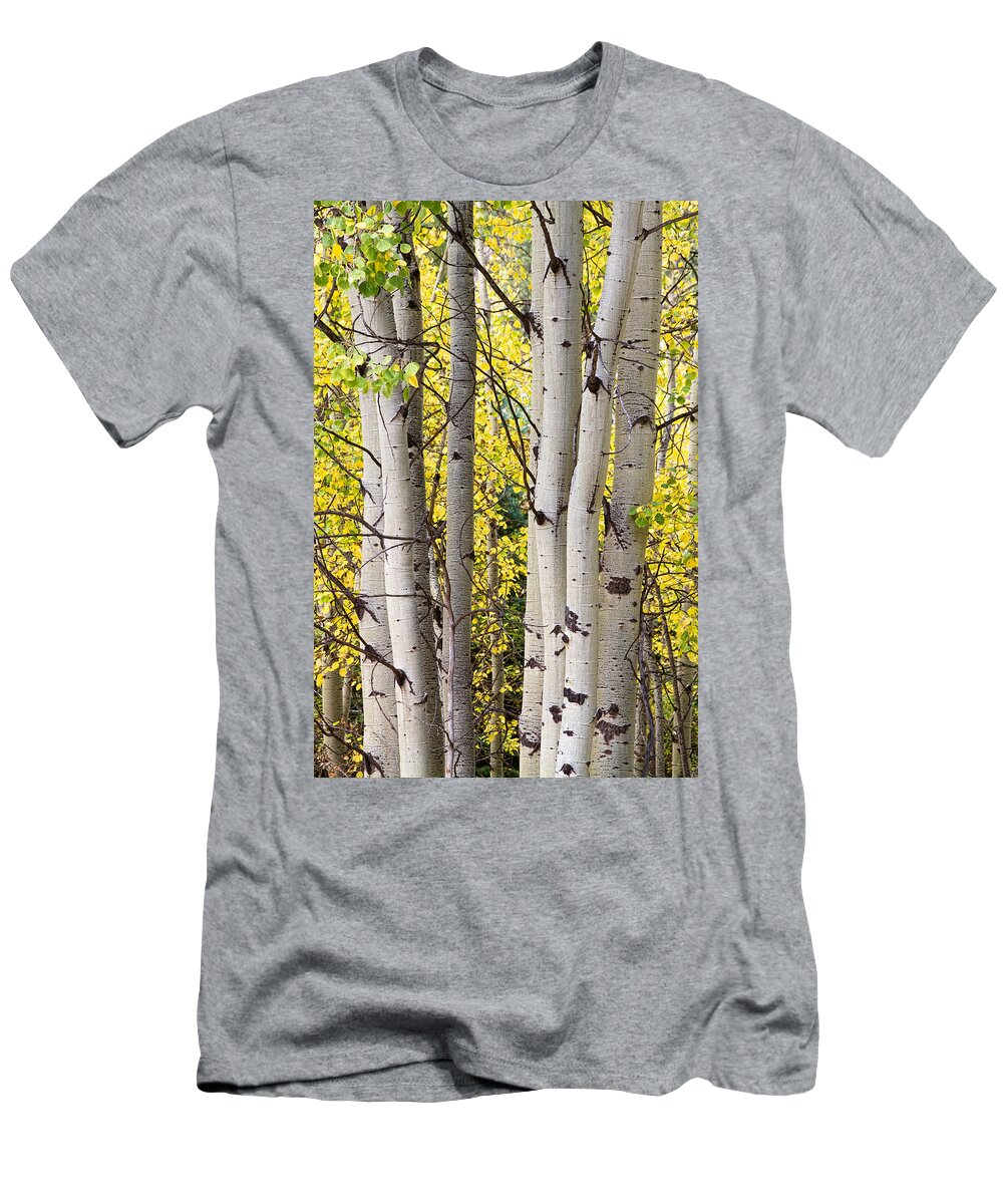 Aspen T-Shirt featuring the photograph Aspen Trees in Autumn Color Portrait View by James BO Insogna