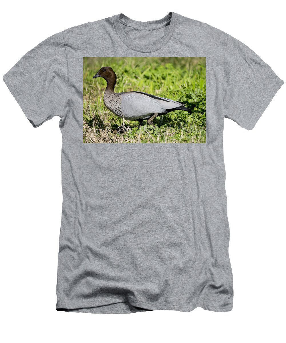 Australia T-Shirt featuring the photograph Australian Wood Duck by Steven Ralser