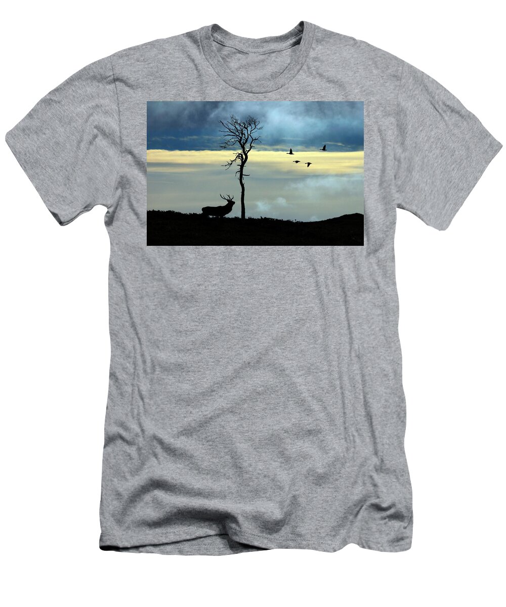Strathglass T-Shirt featuring the photograph Autumn in Strathglass by Macrae Images
