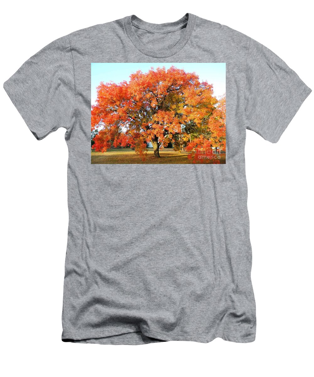 Postcard T-Shirt featuring the digital art Autumn Orange by Matthew Seufer