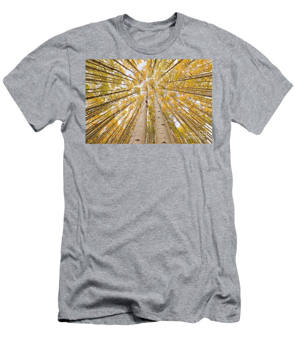 00559141 T-Shirt featuring the photograph Autumn Quaking Aspen Rocky Mts Colorado by Yva Momatiuk and John Eastcott