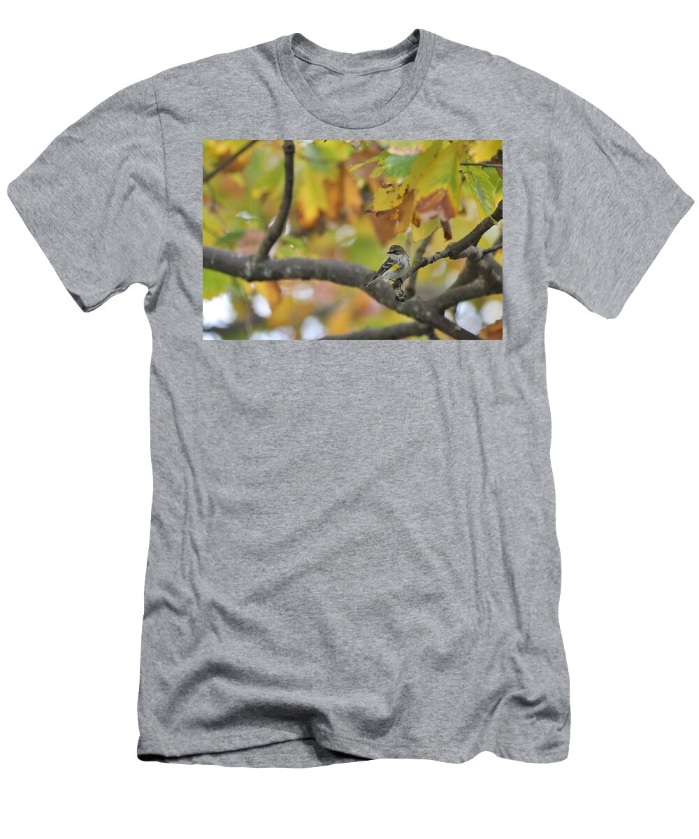 Songbird T-Shirt featuring the photograph Autumn Warbler by Paul Golder