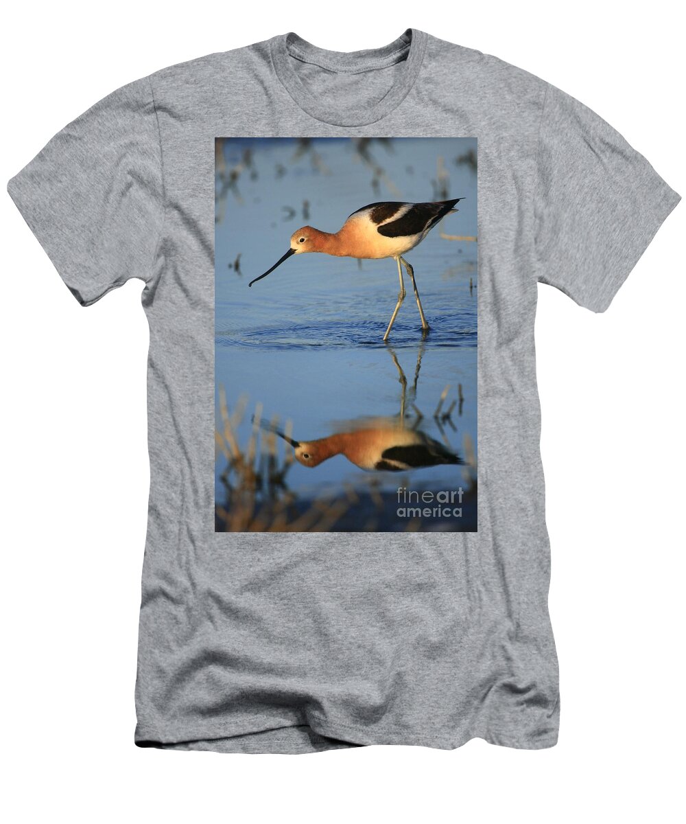 Landscapes T-Shirt featuring the photograph Avocet Mirror by John F Tsumas