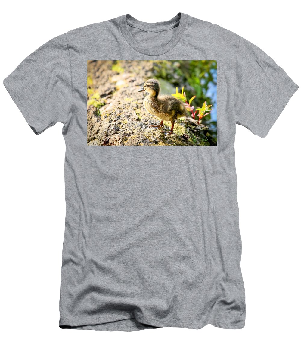 Duckling T-Shirt featuring the photograph Baby Duckling by Athena Mckinzie