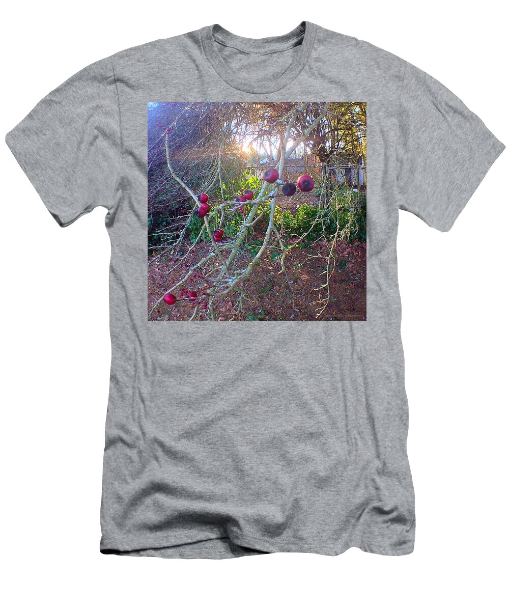 Bare Naked Branches Iii T-Shirt featuring the photograph Bare Naked Branches III by Anna Porter