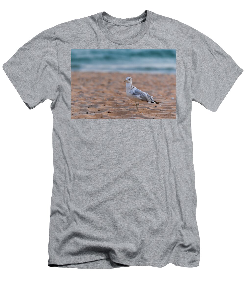 Michigan T-Shirt featuring the photograph Beach Patrol by Sebastian Musial