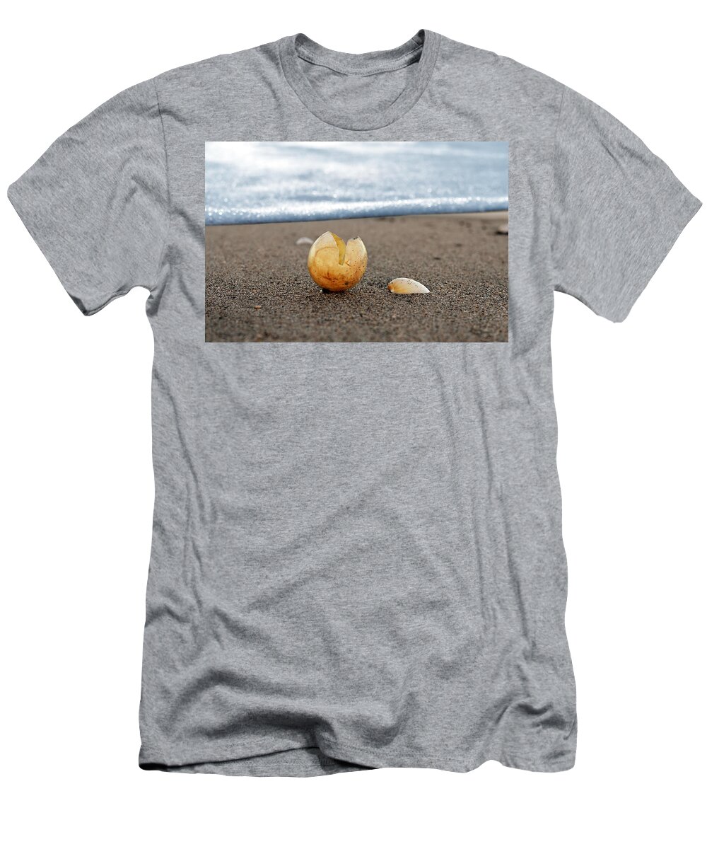 Turtle T-Shirt featuring the photograph Beginnings by Laura Fasulo
