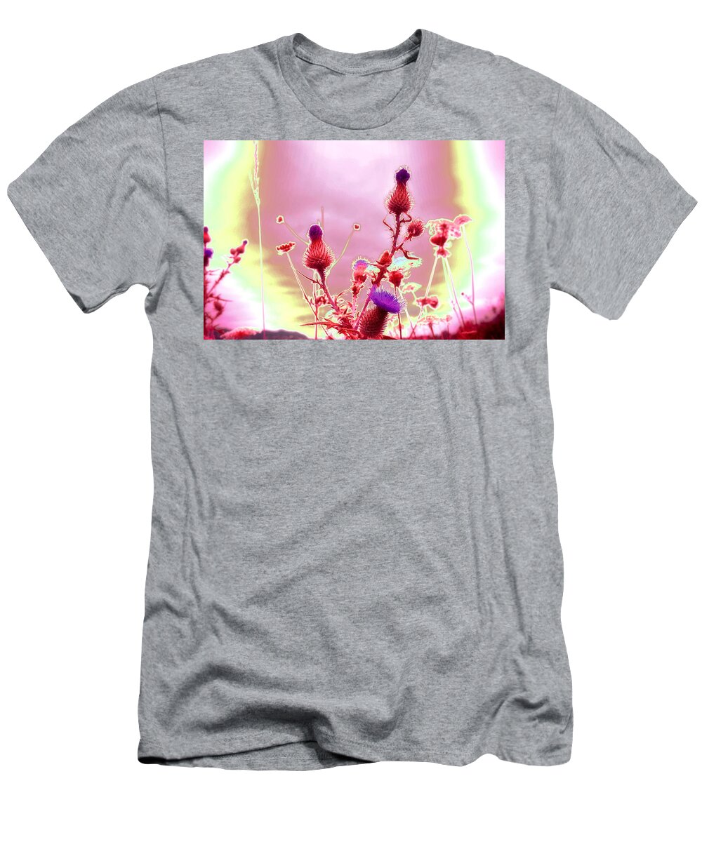 Thistle T-Shirt featuring the photograph Bewitching Triad by Laureen Murtha Menzl