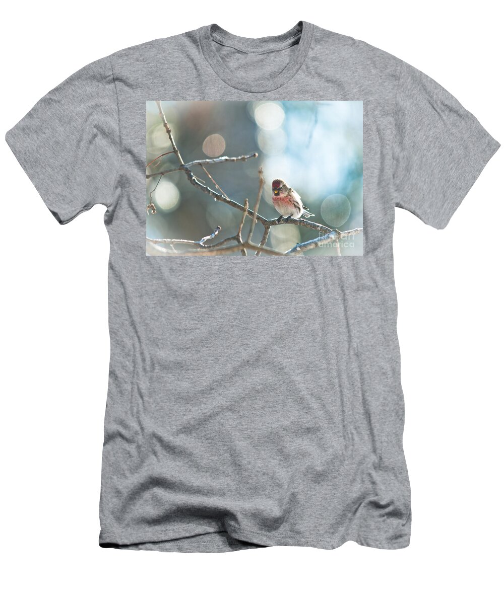 Landscapes T-Shirt featuring the photograph Bird in Bokeh by Cheryl Baxter