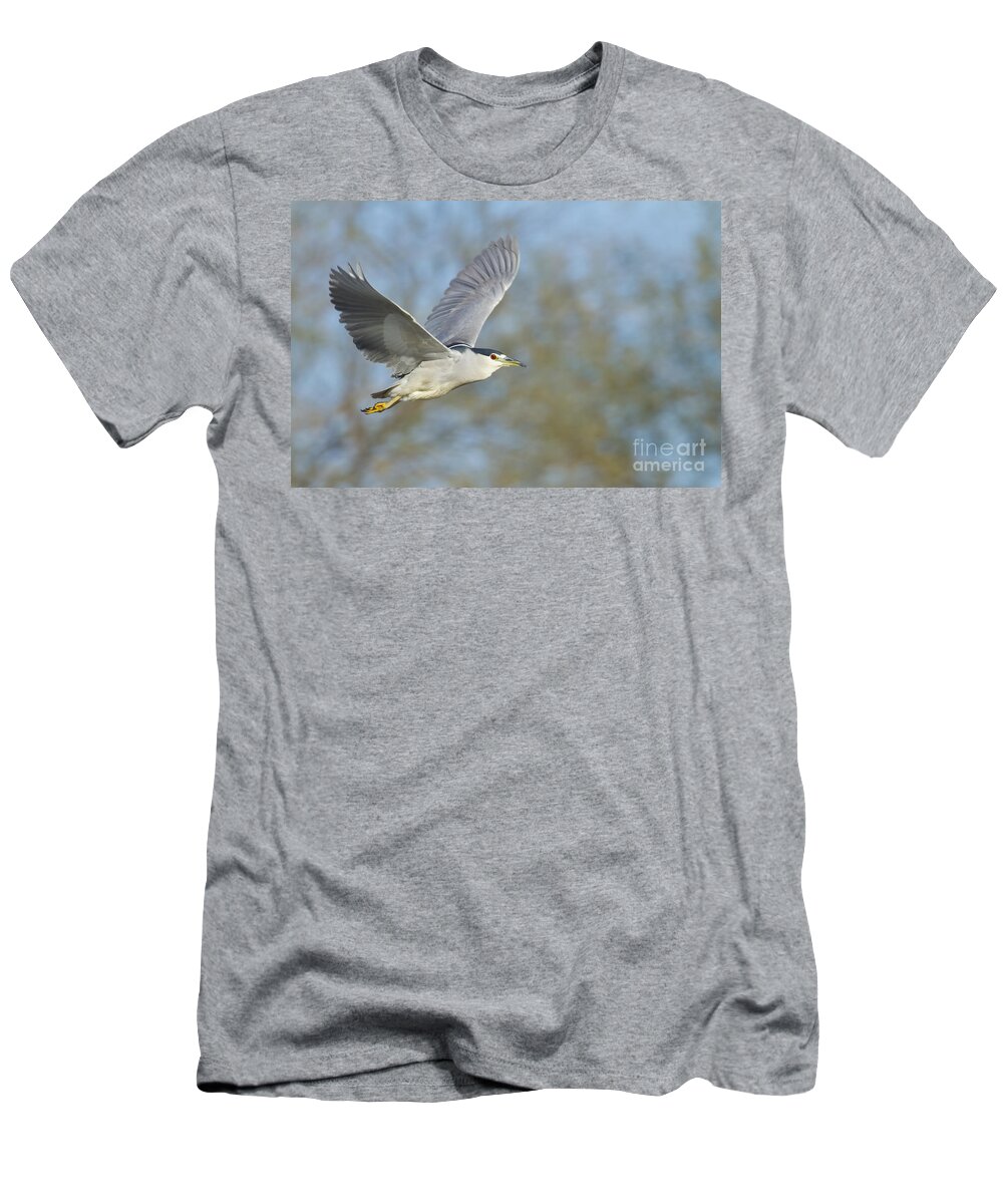 Black Crowned Night Heron T-Shirt featuring the photograph Black- crowned night heron by Bryan Keil