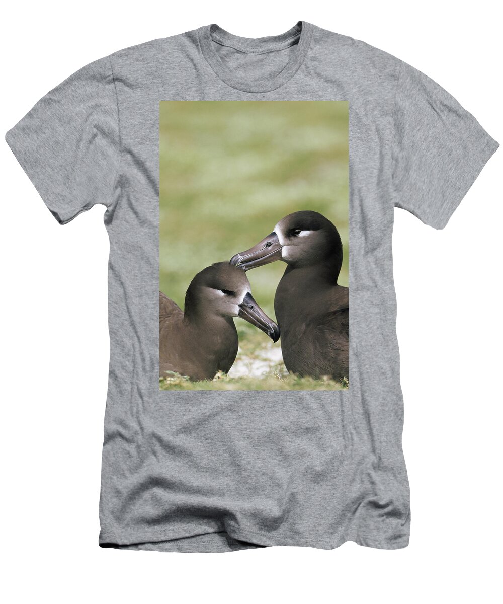 Feb0514 T-Shirt featuring the photograph Black-footed Albatross Pair Bondingl by Tui De Roy