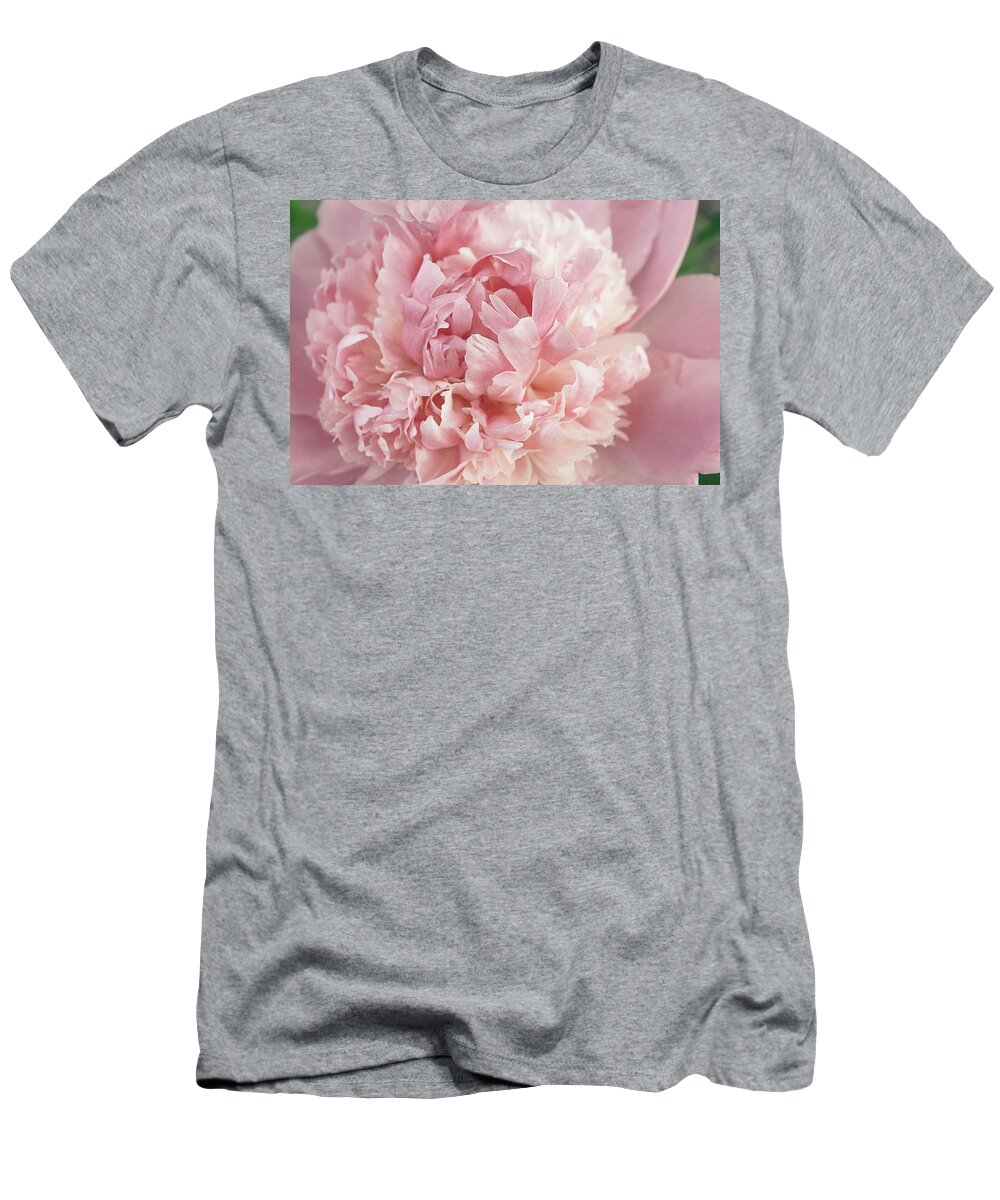 Peony T-Shirt featuring the photograph Blessed Peony by Gwen Gibson