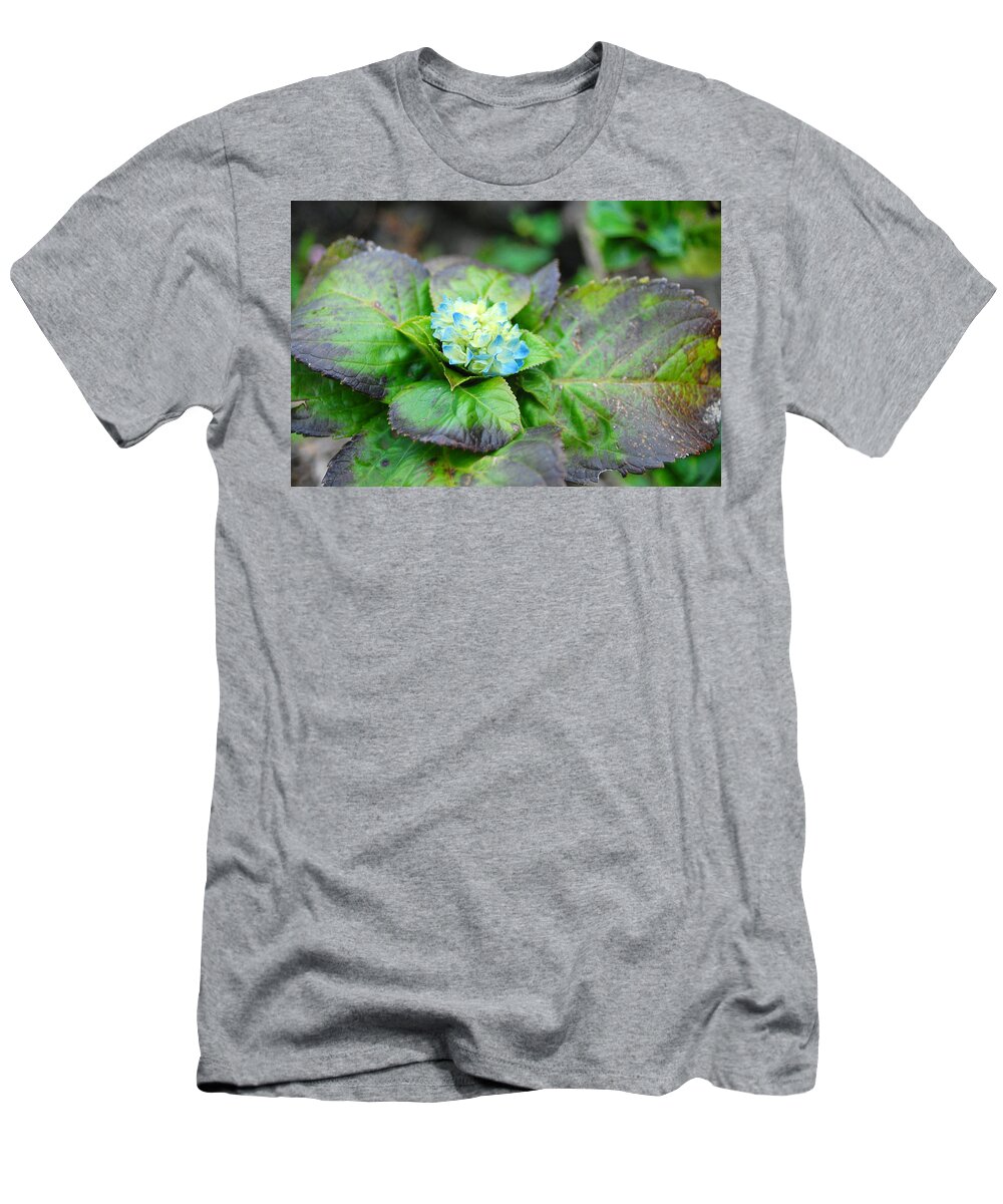 Flower T-Shirt featuring the photograph Blue Hydrangea Buds by Amy Fose