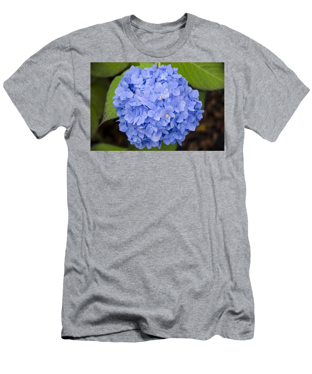 Blue T-Shirt featuring the photograph Blue Hydrangea by Maureen E Ritter