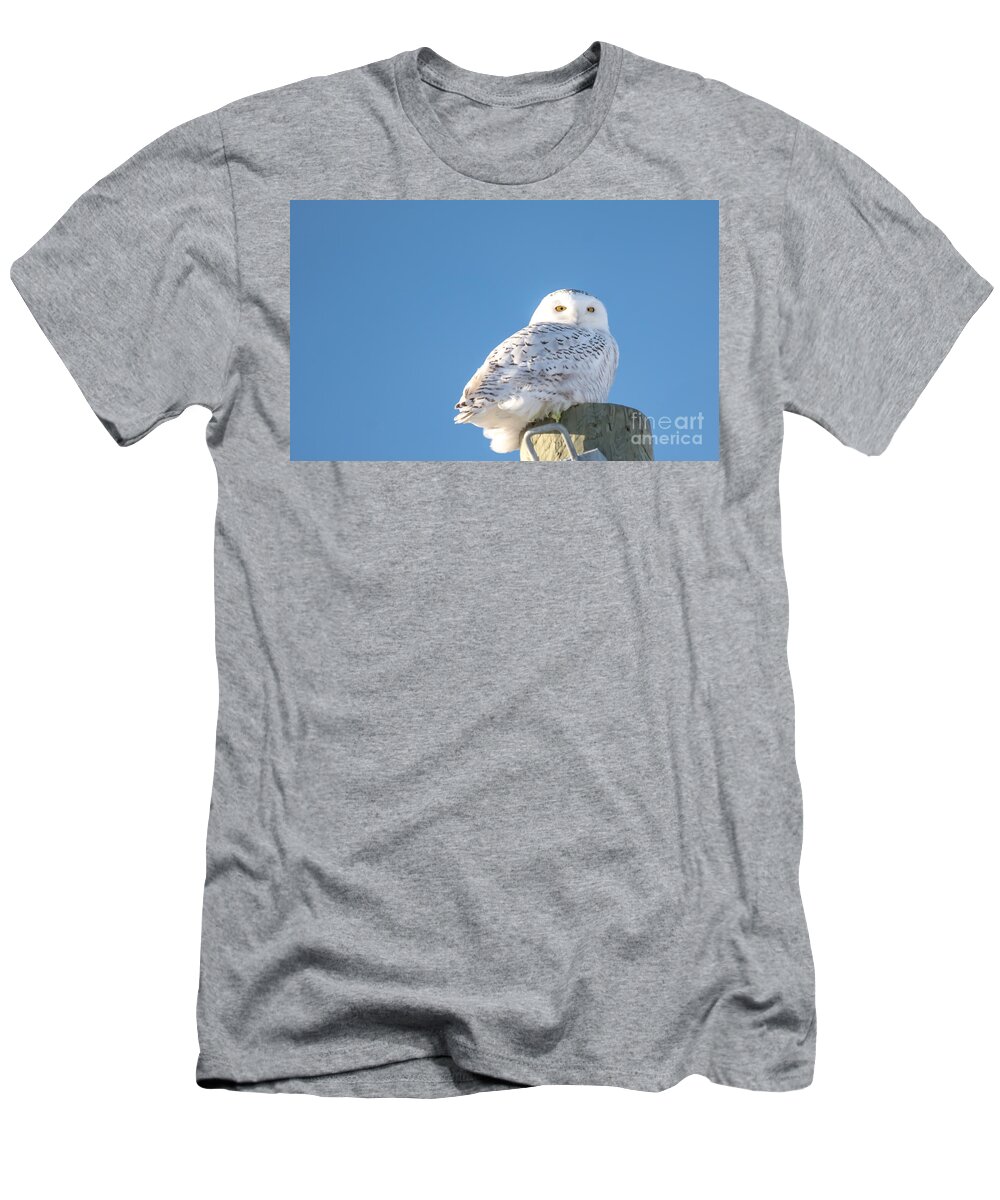 Field T-Shirt featuring the photograph Blue Sky Snowy by Cheryl Baxter