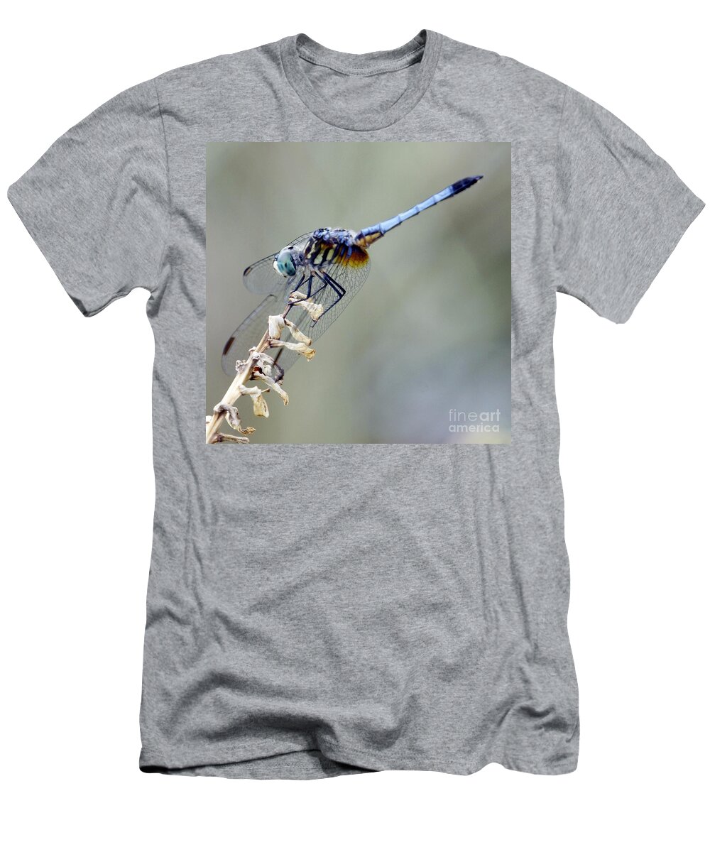 Dragonfly T-Shirt featuring the photograph Blue-tailed Dragonfly by Lilliana Mendez