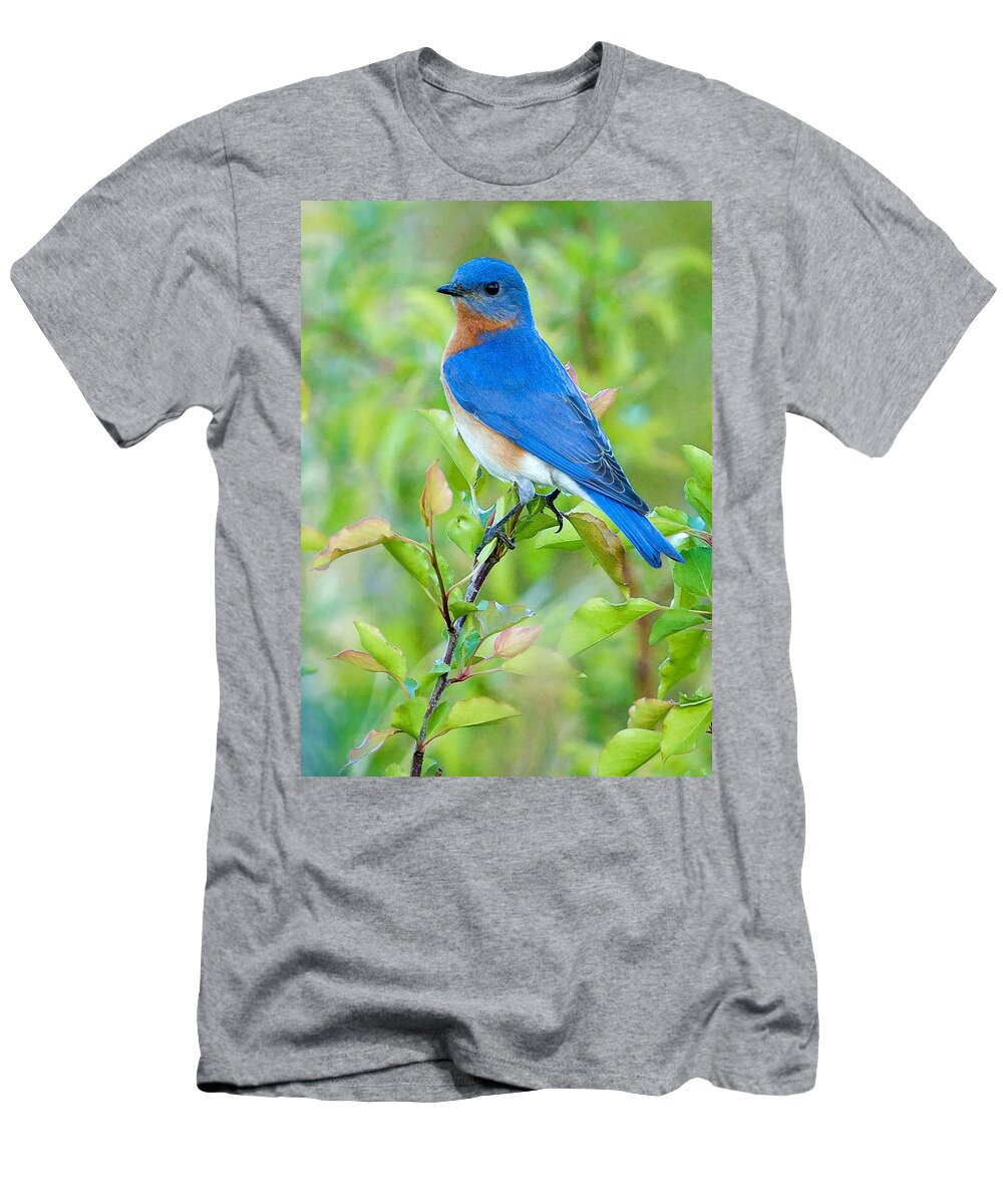 Bluebird T-Shirt featuring the photograph Bluebird Joy by William Jobes
