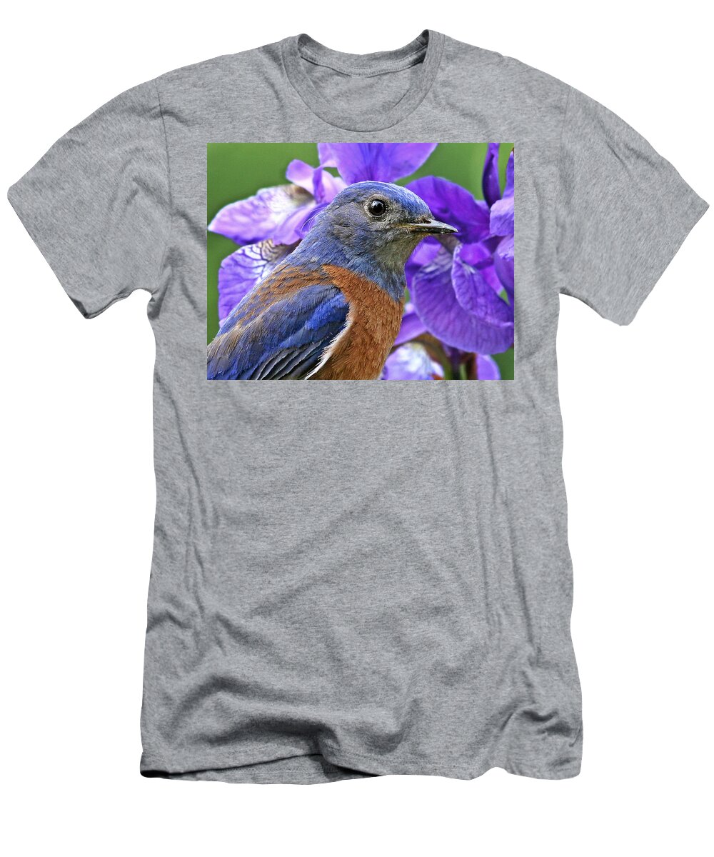 Animals T-Shirt featuring the photograph Bluebird portrait by Jean Noren
