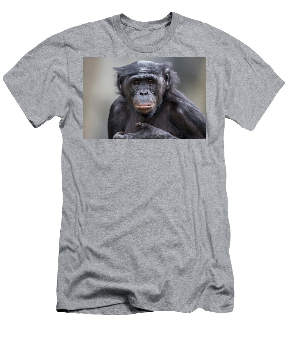 Feb0514 T-Shirt featuring the photograph Bonobo by San Diego Zoo