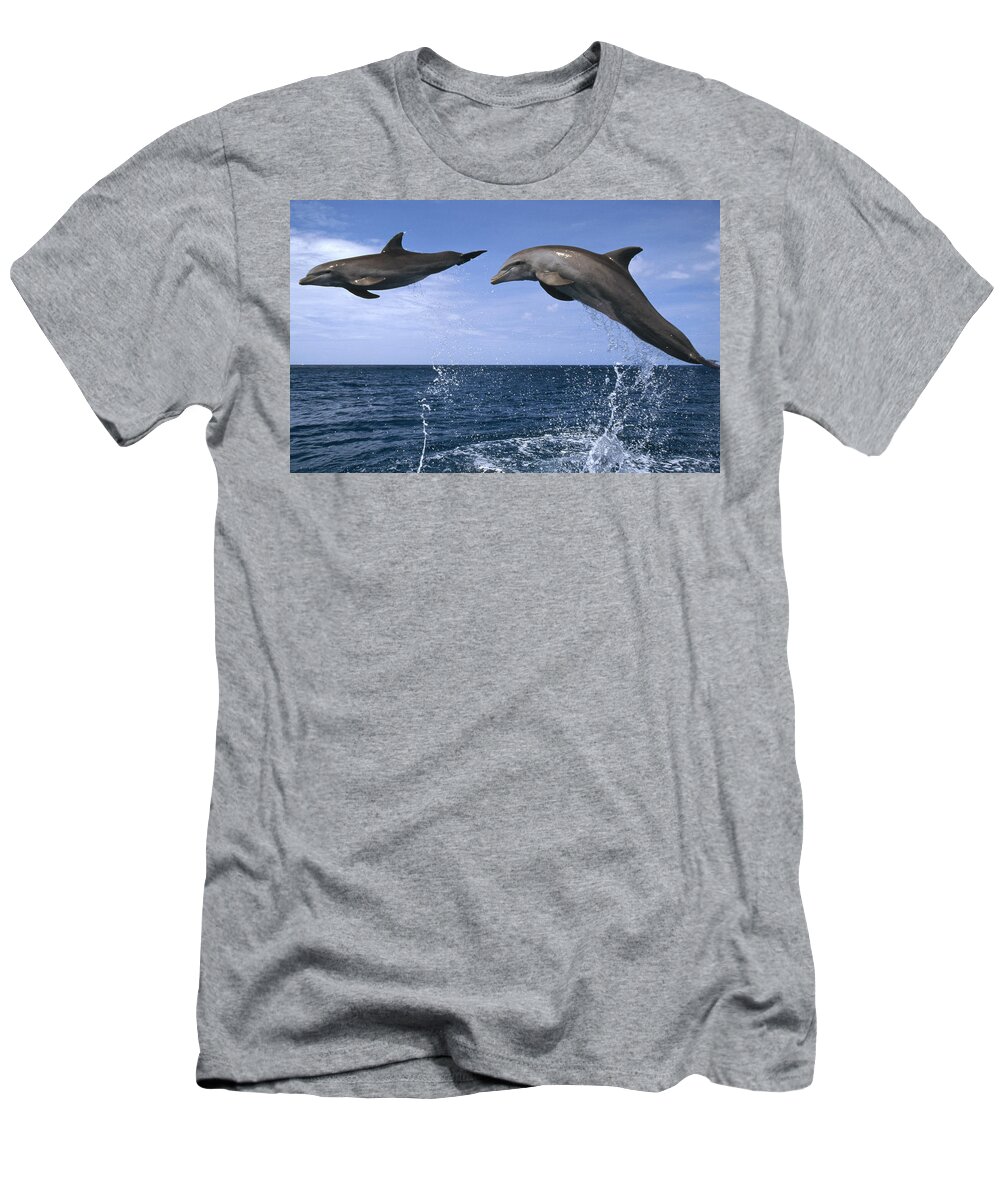 Feb0514 T-Shirt featuring the photograph Bottlenose Dolphins Leaping Honduras by Konrad Wothe