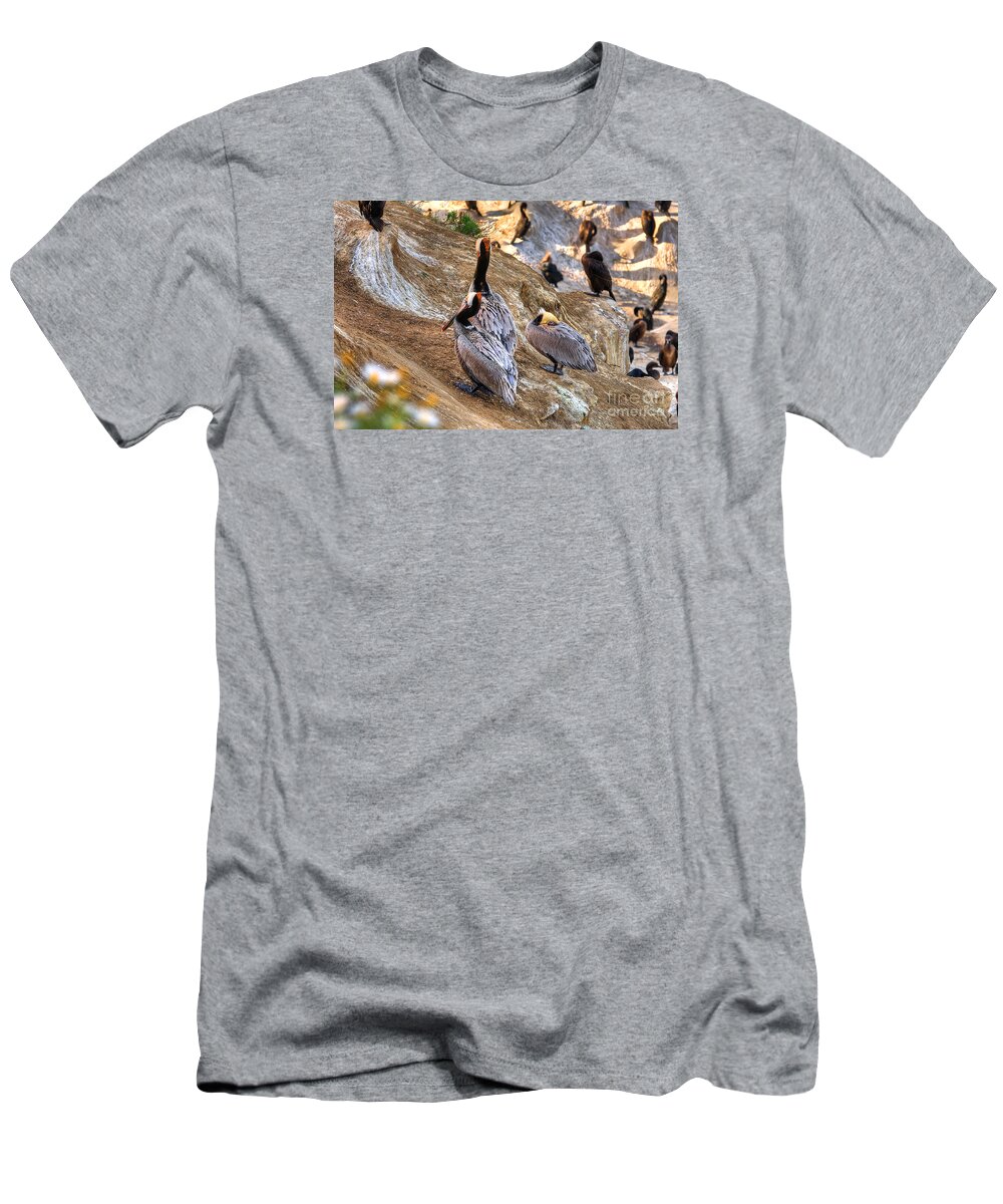 Pelican T-Shirt featuring the photograph Brown Pelicans at Rest by Jim Carrell