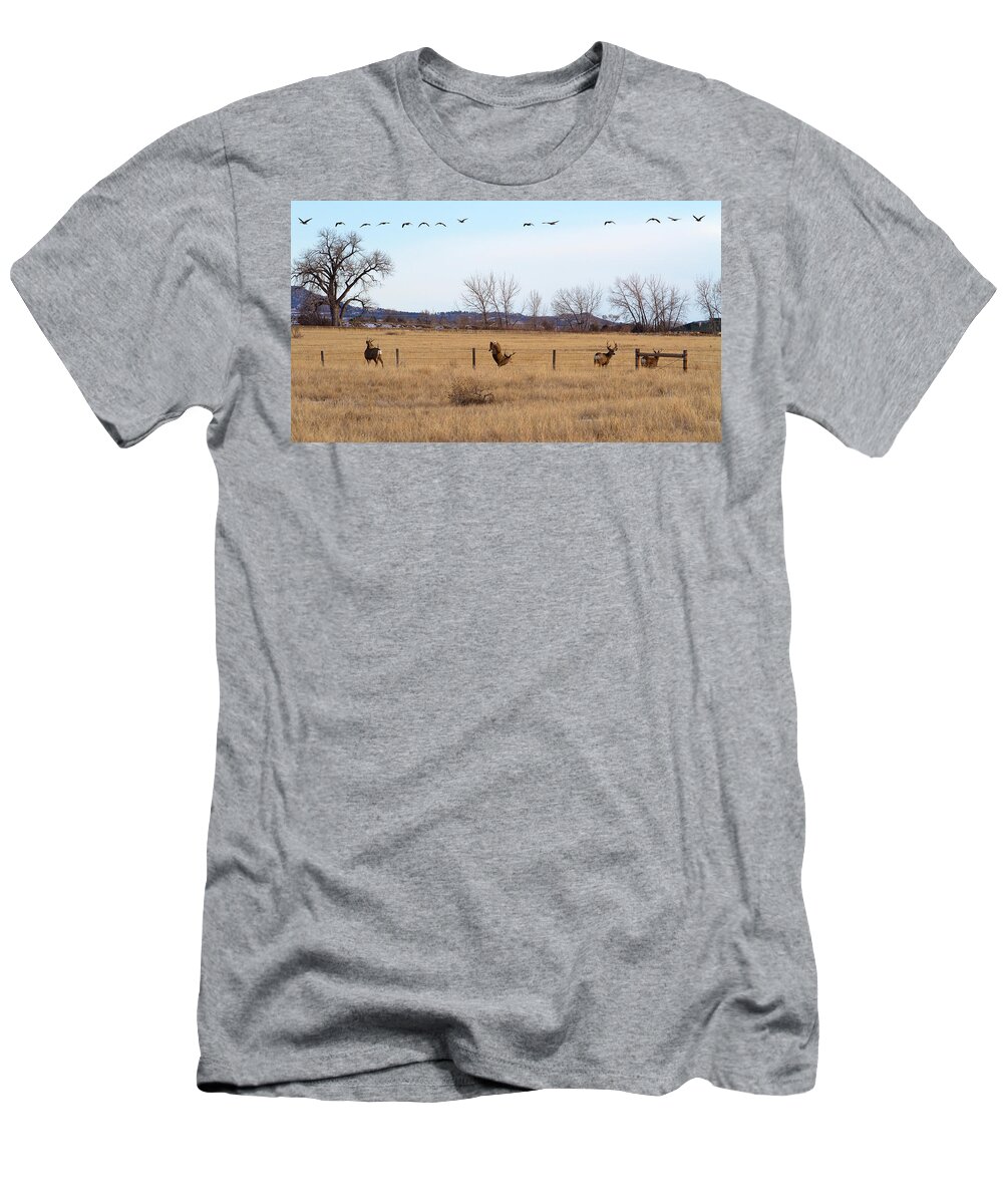 Deer Jumping Phoograph T-Shirt featuring the photograph Bucks and Geese by Jim Garrison