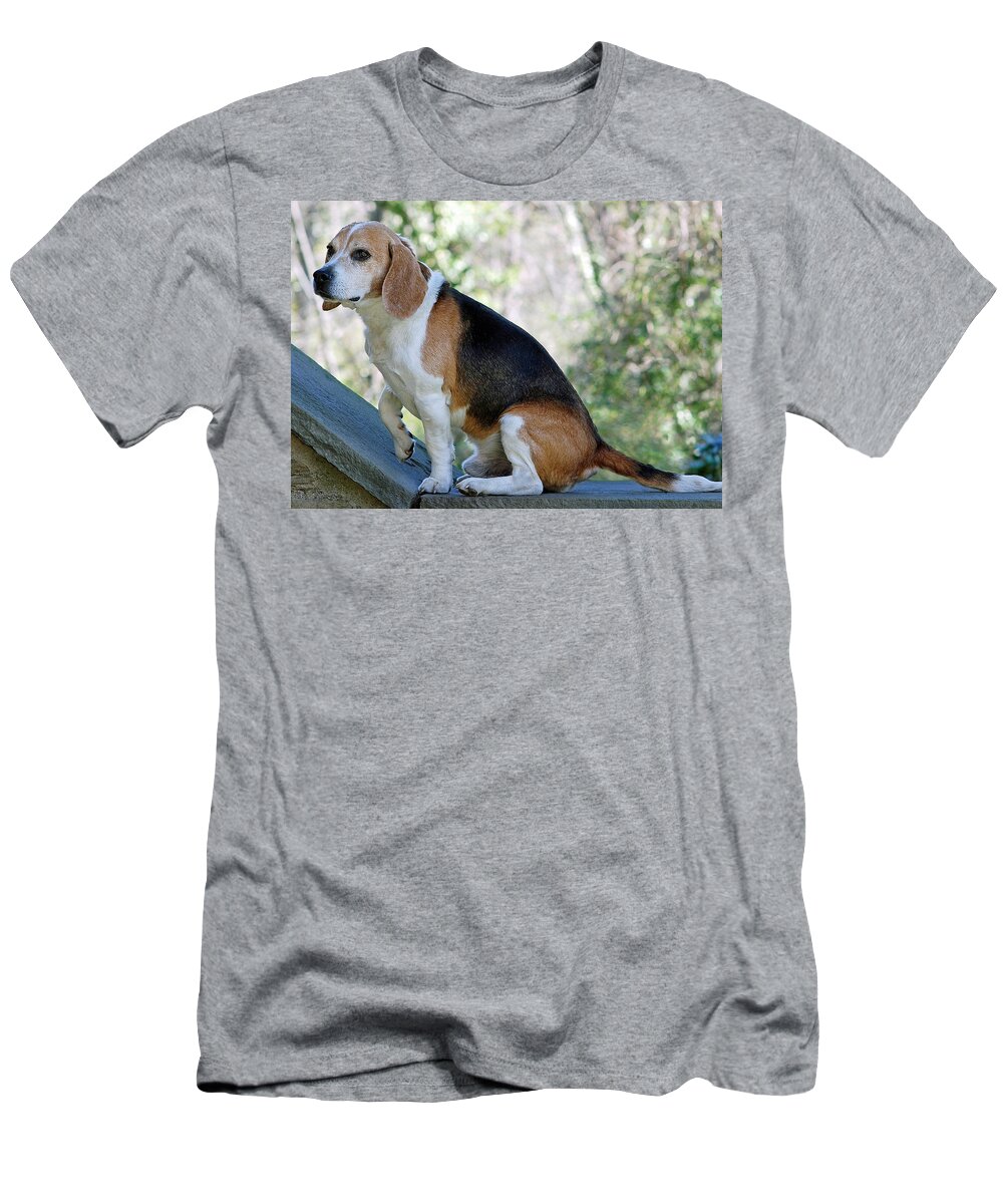 Animals T-Shirt featuring the photograph Buddy by Lisa Phillips