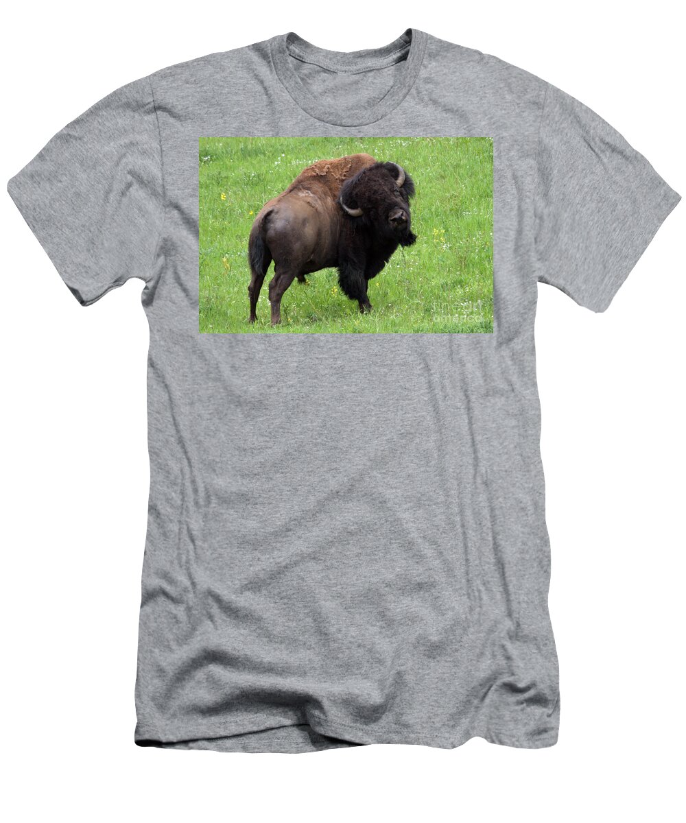 Colorado T-Shirt featuring the photograph Buffalo by Bob Hislop