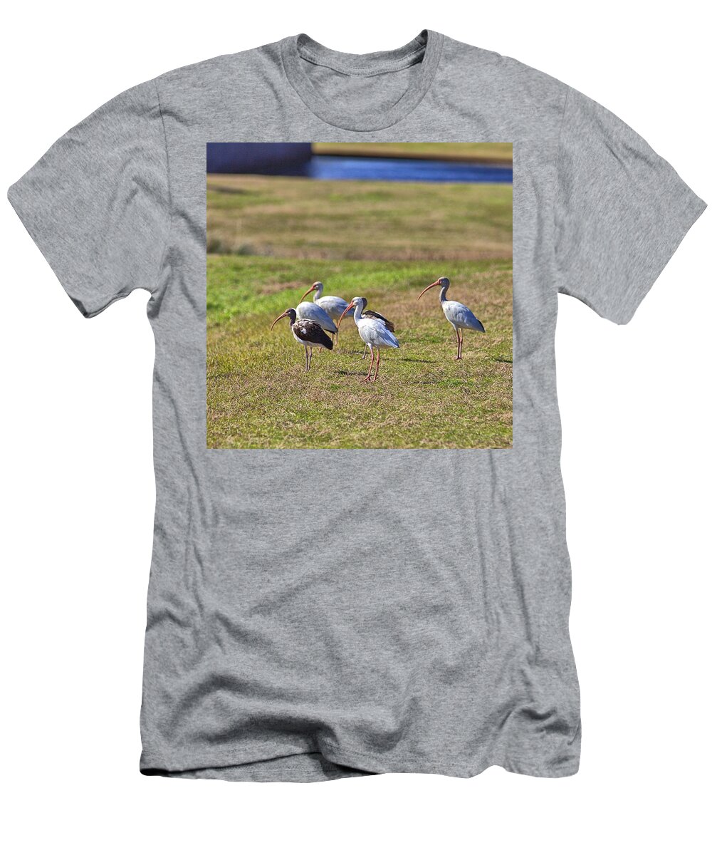 9602 T-Shirt featuring the photograph Bug Hunting by Gordon Elwell