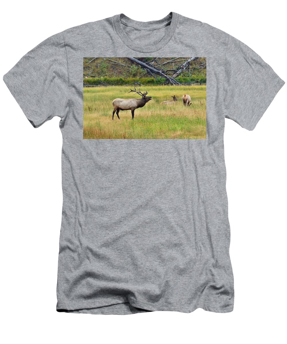 Bull Elk T-Shirt featuring the photograph Bugling Over Harem by Yeates Photography