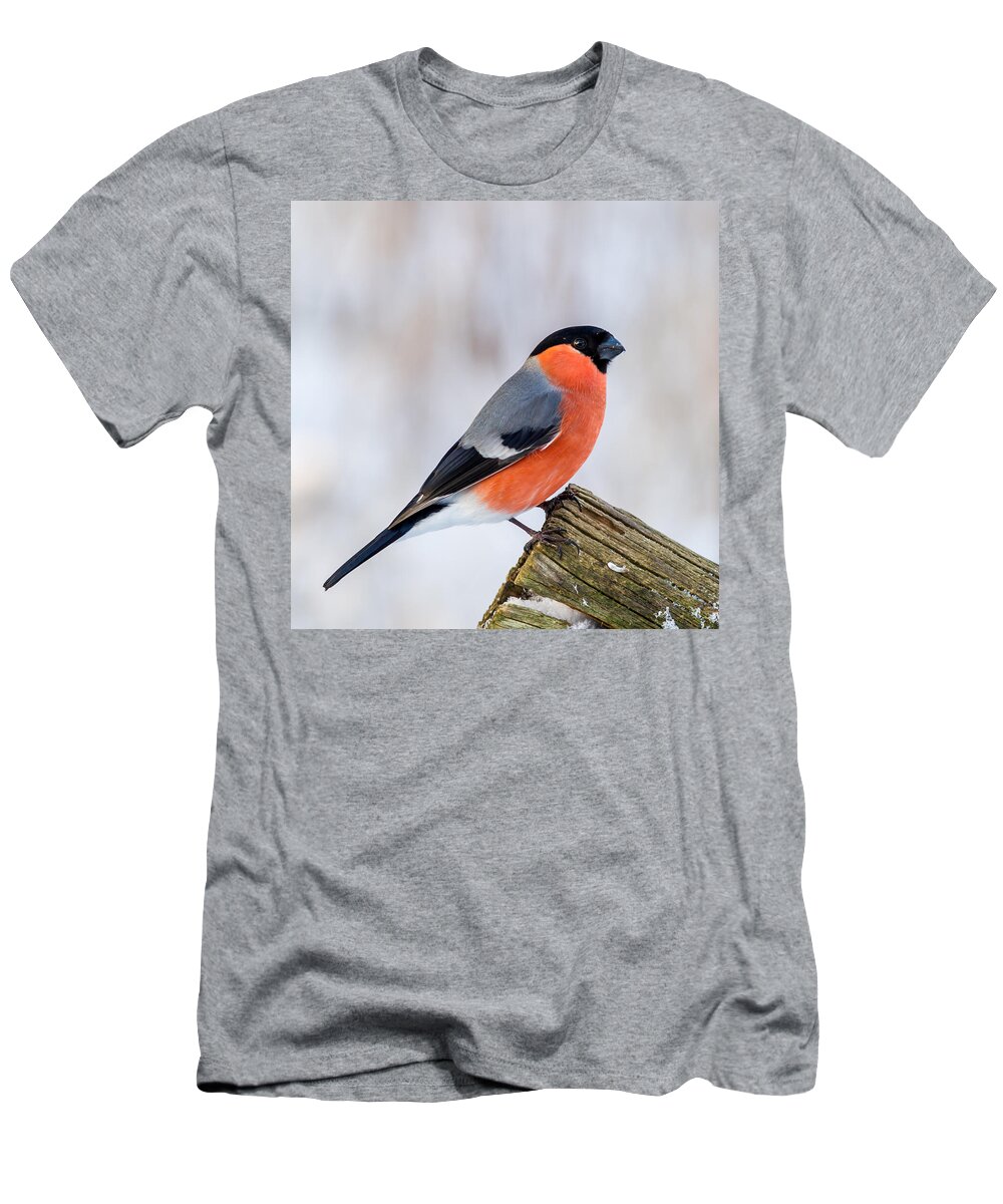 Bullfinch On The Edge T-Shirt featuring the photograph Bullfinch on the Edge by Torbjorn Swenelius