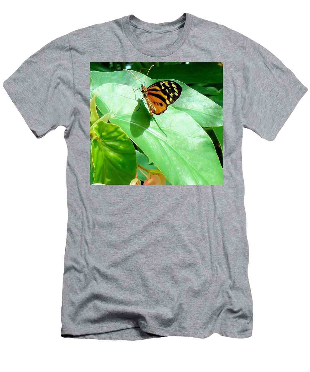 Butterfly T-Shirt featuring the photograph Butterfly Chasing Shadow by Janette Boyd