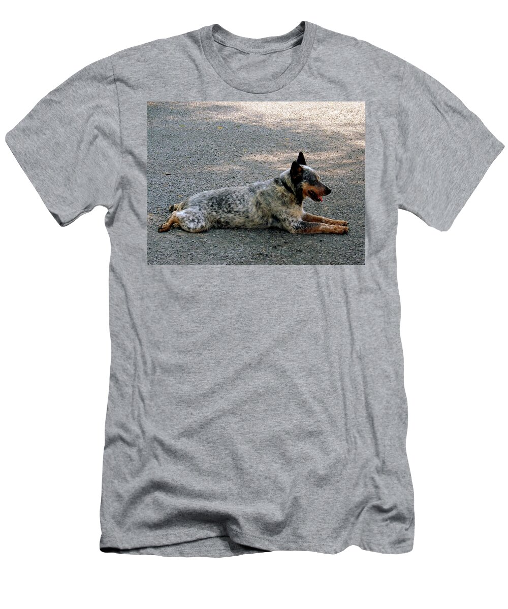 Camouflage T-Shirt featuring the photograph Cattle dog by Marysue Ryan