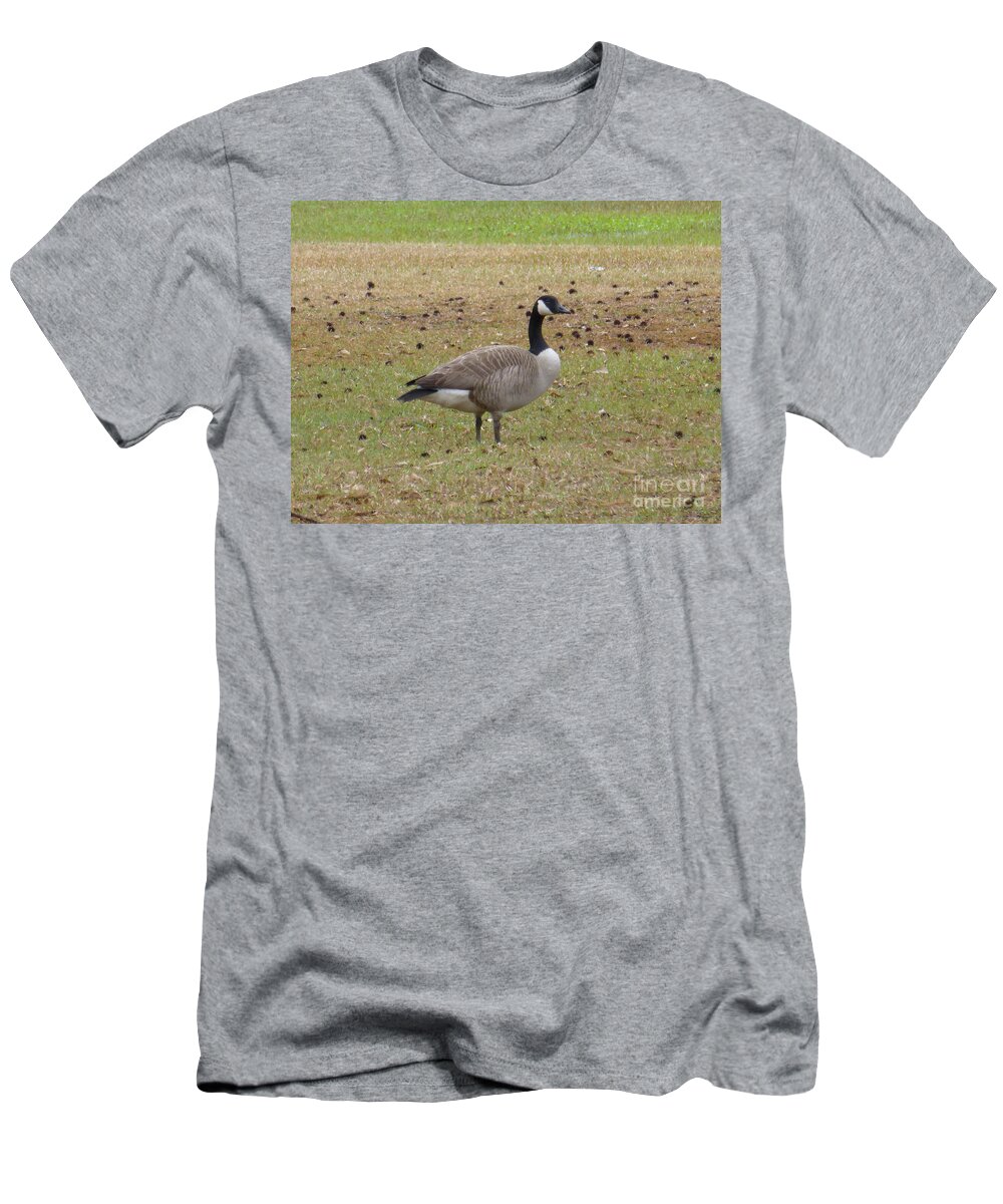Tree T-Shirt featuring the photograph Canadian Goose Strutting by Joseph Baril