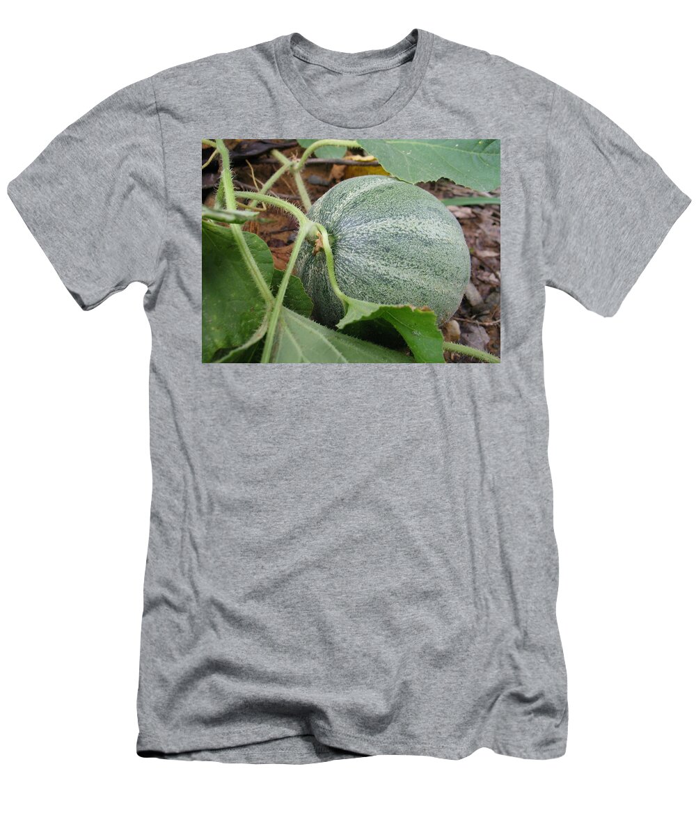 Cantaloupe T-Shirt featuring the photograph Cantaloupe by Jennifer Wheatley Wolf