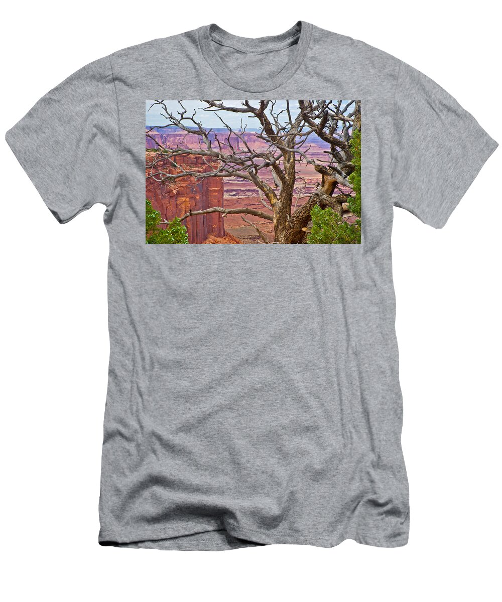 Utah T-Shirt featuring the photograph Canyonlands Pinon by Kent Nancollas