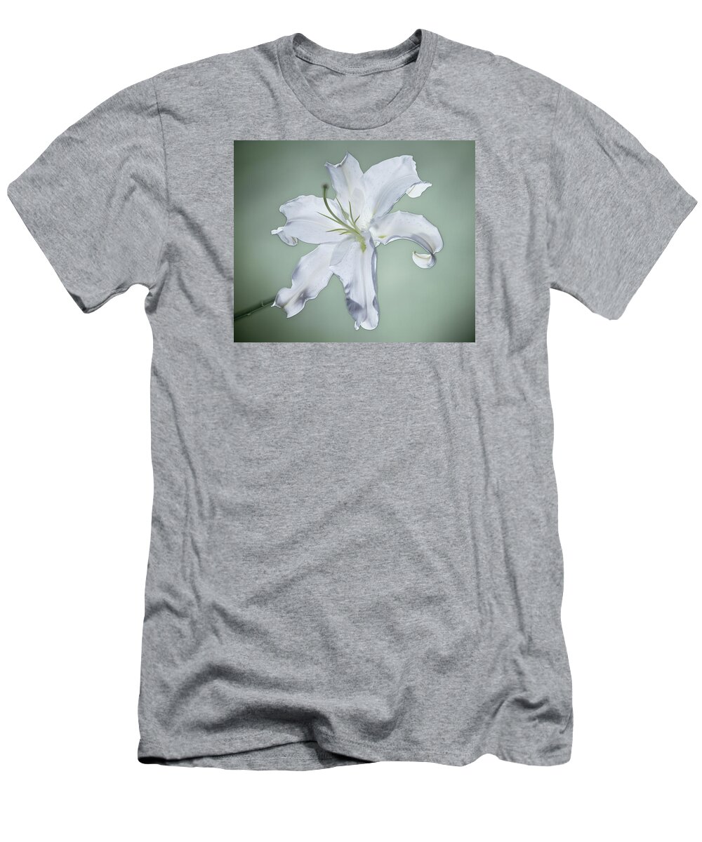 Casablanca Lily T-Shirt featuring the photograph Casablanca by Kirk Ellison