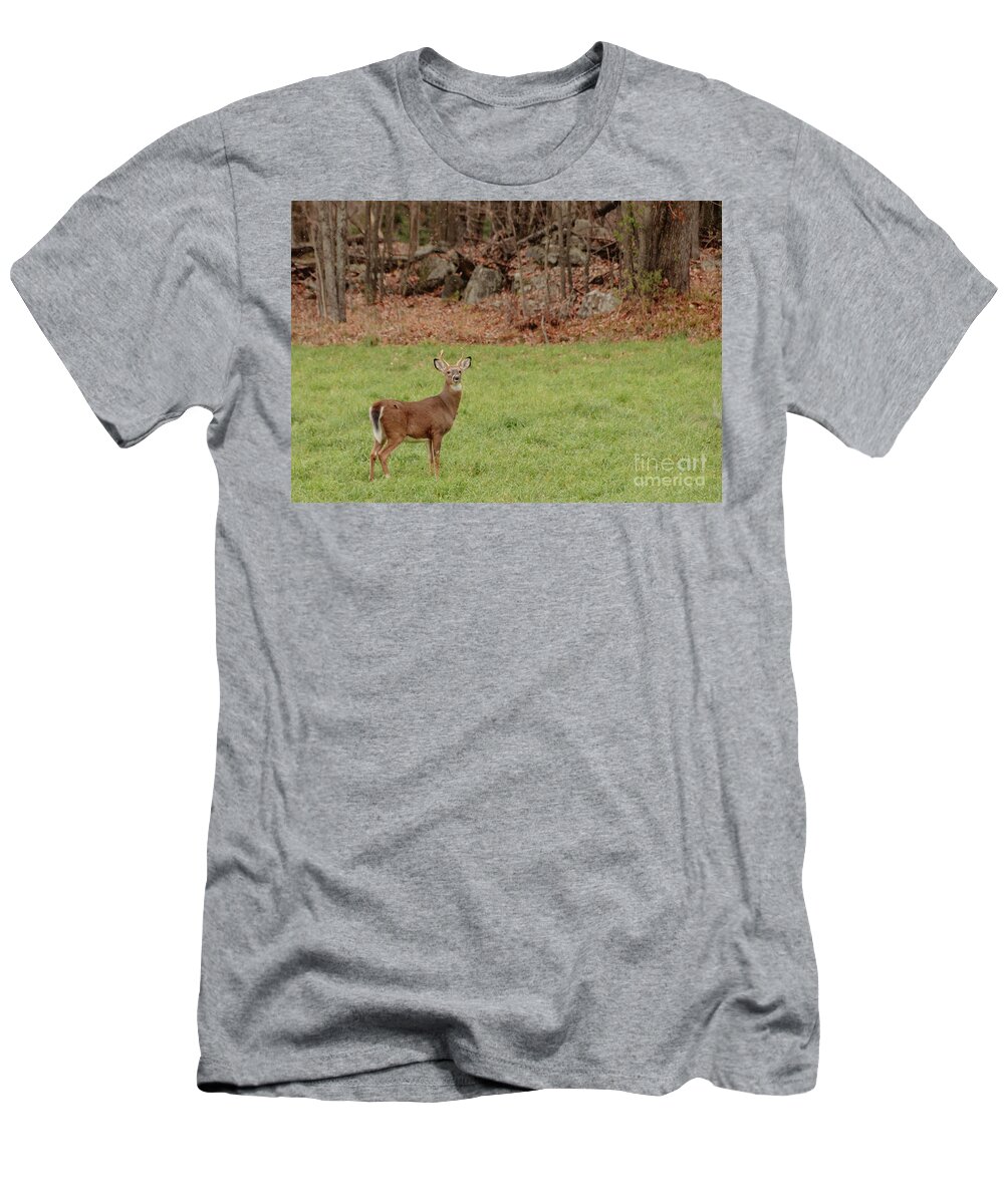 Landscapes T-Shirt featuring the photograph Cautious by Cheryl Baxter