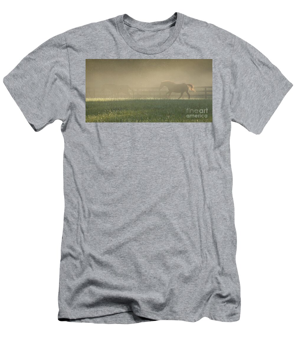 Horses T-Shirt featuring the photograph Chasing a Phantom by Carol Lynn Coronios