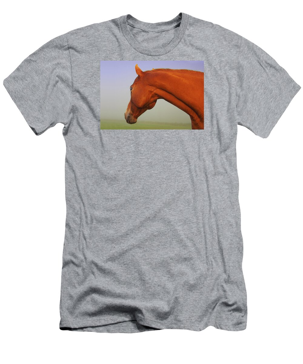 Horse Imagery T-Shirt featuring the photograph Chestnut by David Davies