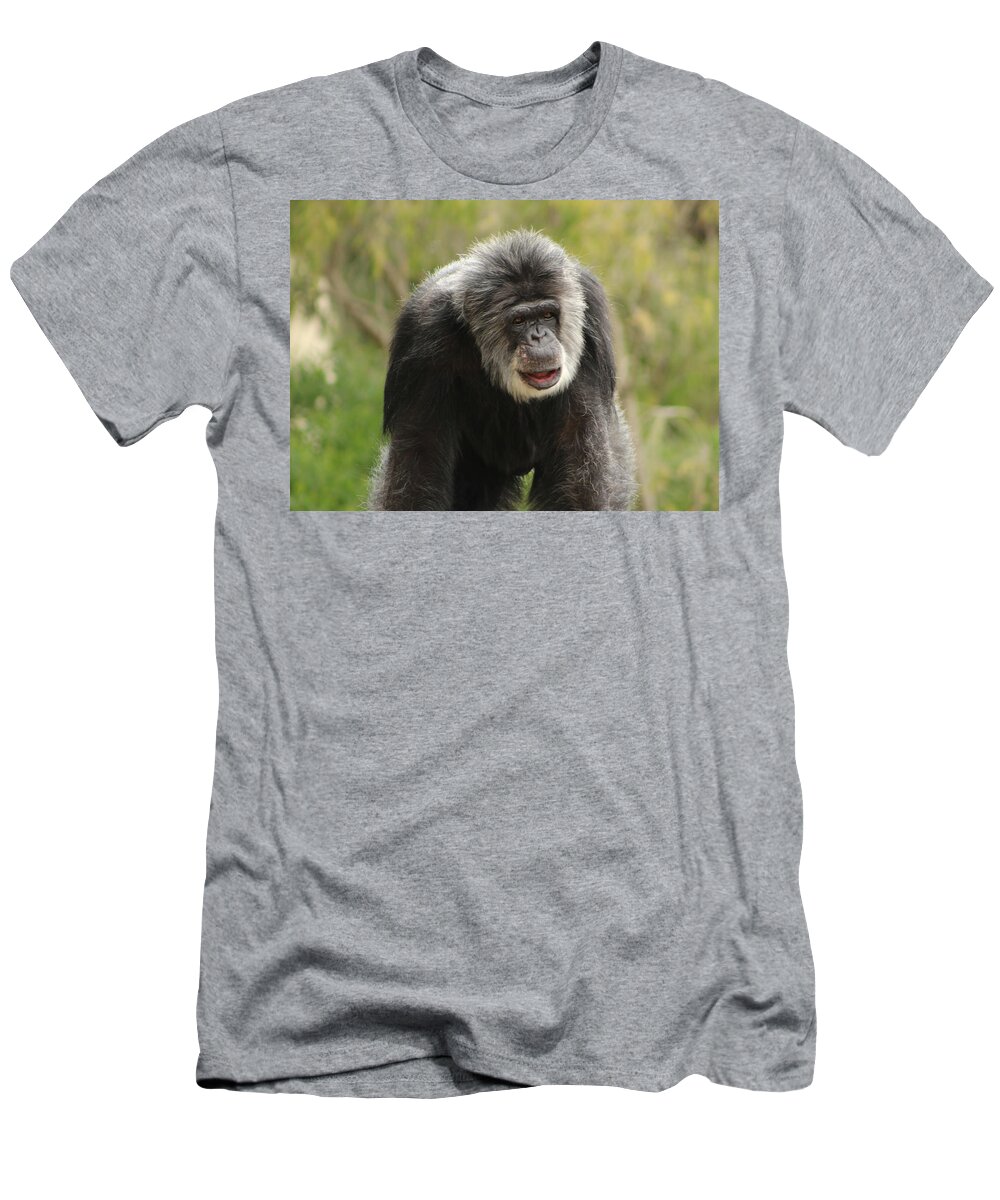 Chimpanzee T-Shirt featuring the photograph Chimpanzee by Deana Glenz