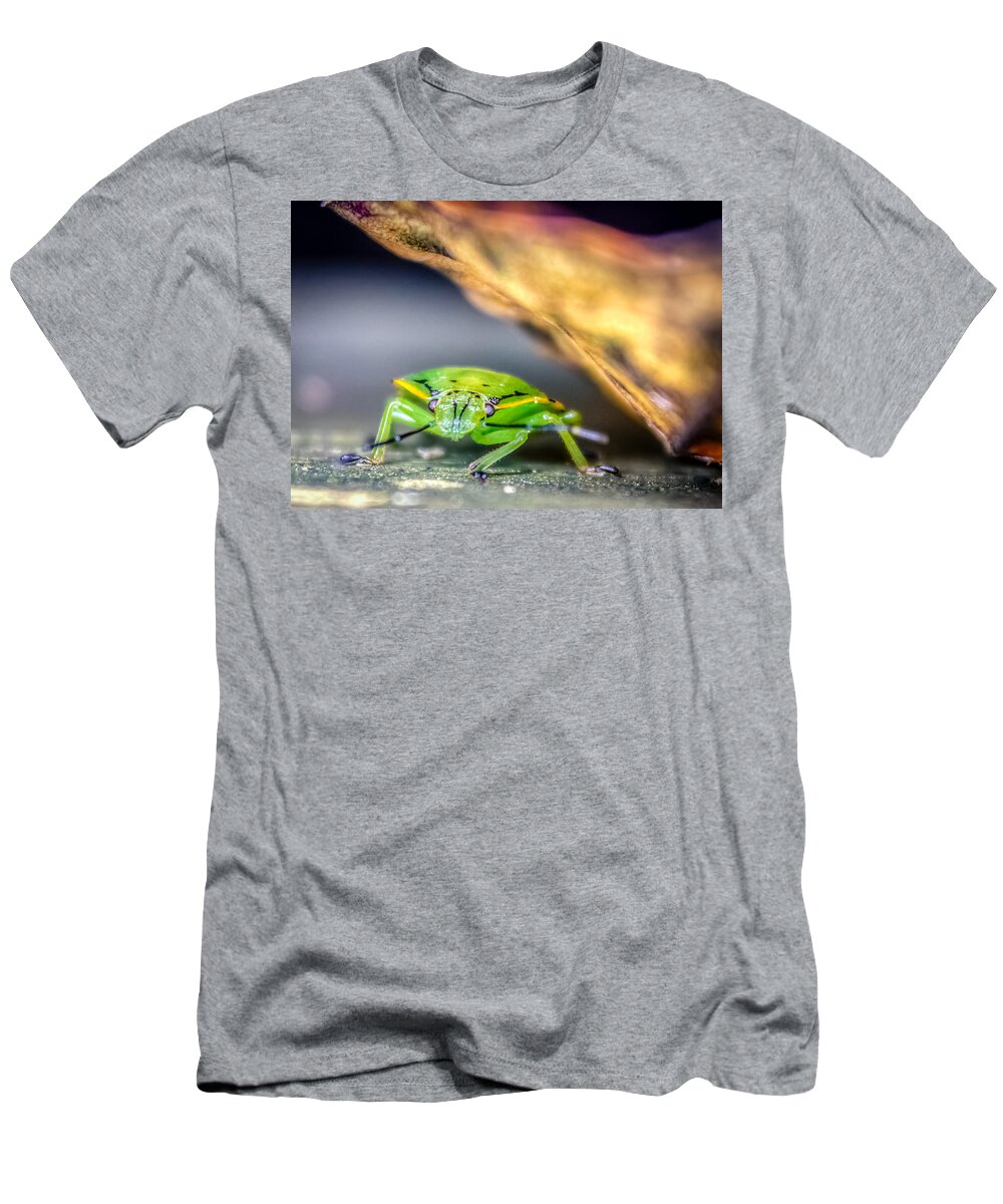 Animal T-Shirt featuring the photograph Chinavia hilaris by Rob Sellers