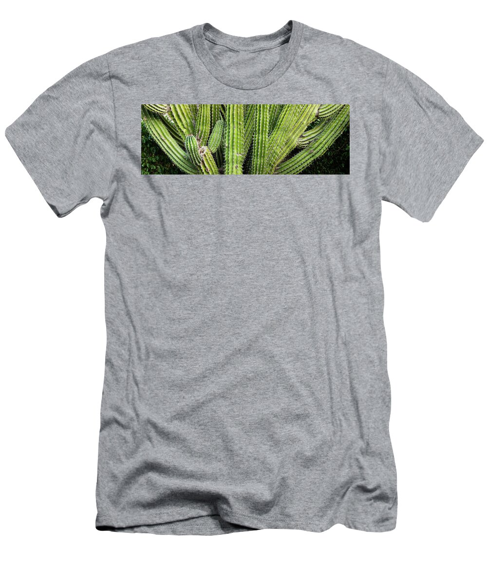 Photography T-Shirt featuring the photograph Close-up Of Cactus Plant, Cabo Pulmo by Panoramic Images