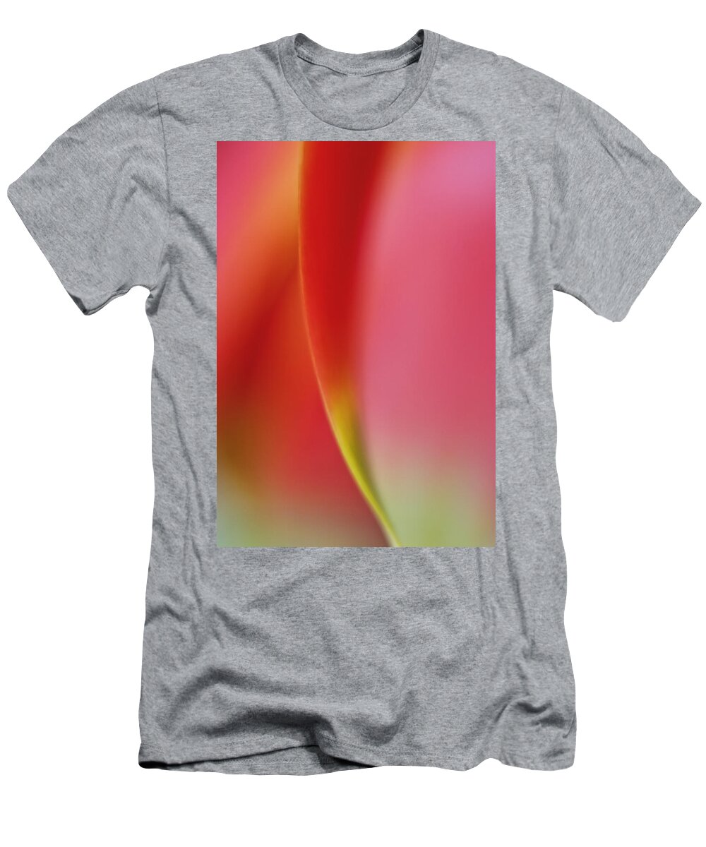 Abstract T-Shirt featuring the photograph Color and Form in Nature by David and Carol Kelly