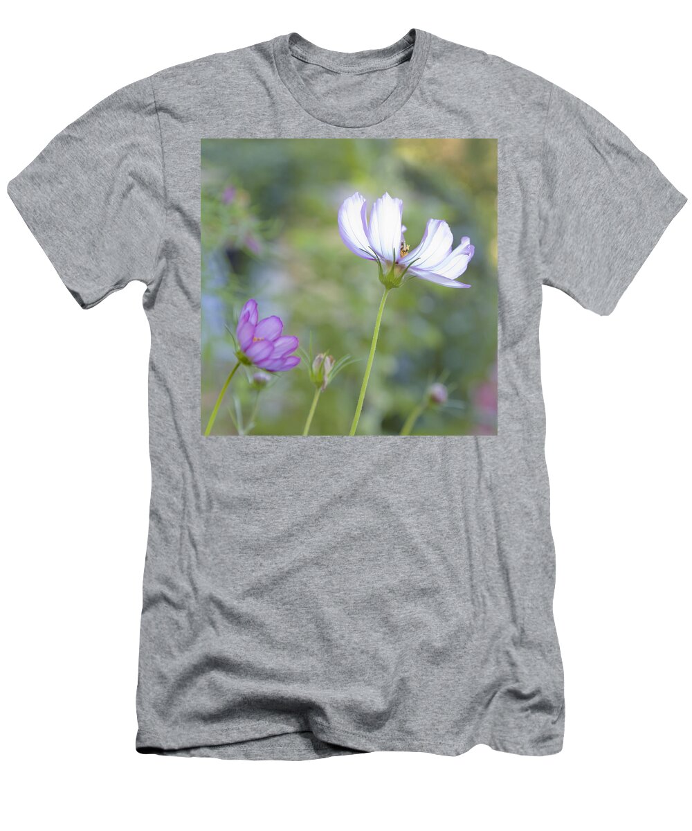 Floral T-Shirt featuring the photograph Cosmo Lite by Theresa Tahara