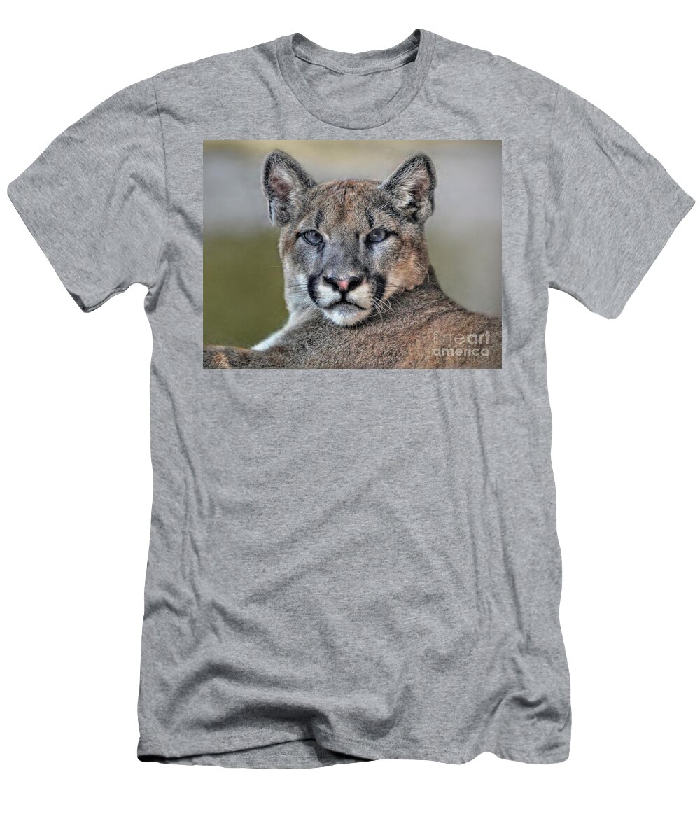 Cougar T-Shirt featuring the photograph Cougar by Savannah Gibbs