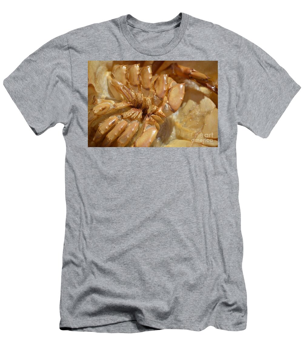 Horseshoe Crab T-Shirt featuring the photograph Crab Legs by Lynellen Nielsen